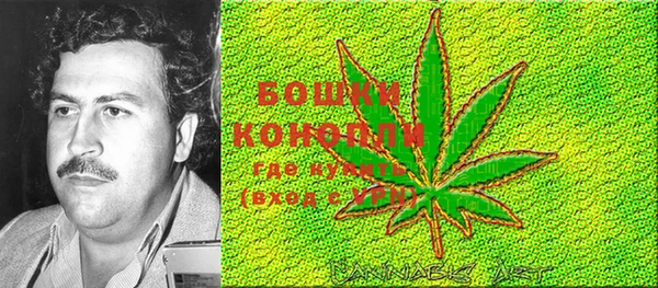 молекула духа Баксан