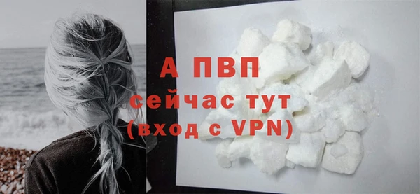 сатива Инта