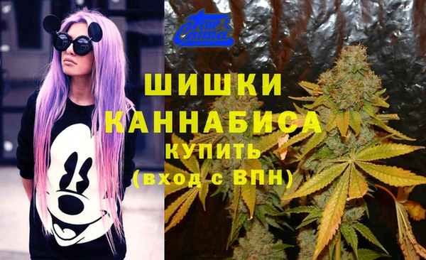 крисы Арсеньев