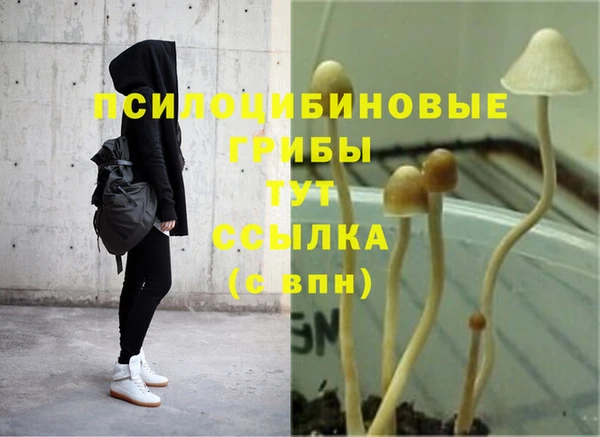 дживик Аркадак