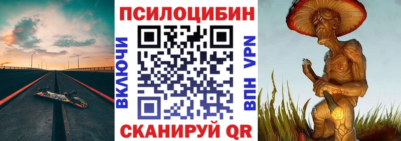 omg ONION  Высоцк  Псилоцибиновые грибы GOLDEN TEACHER 