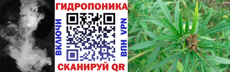 Каннабис семена  Высоцк 